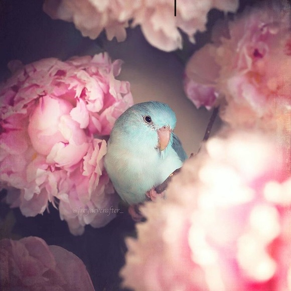 Meet your Posher, Jenn - Picture 11 of 16